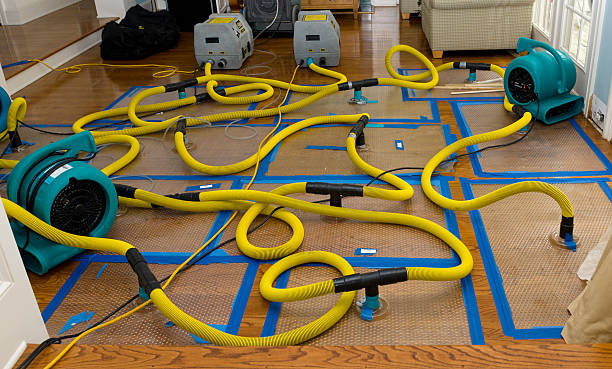 Professional Sewage Cleanup technician working in Glenmont, NY